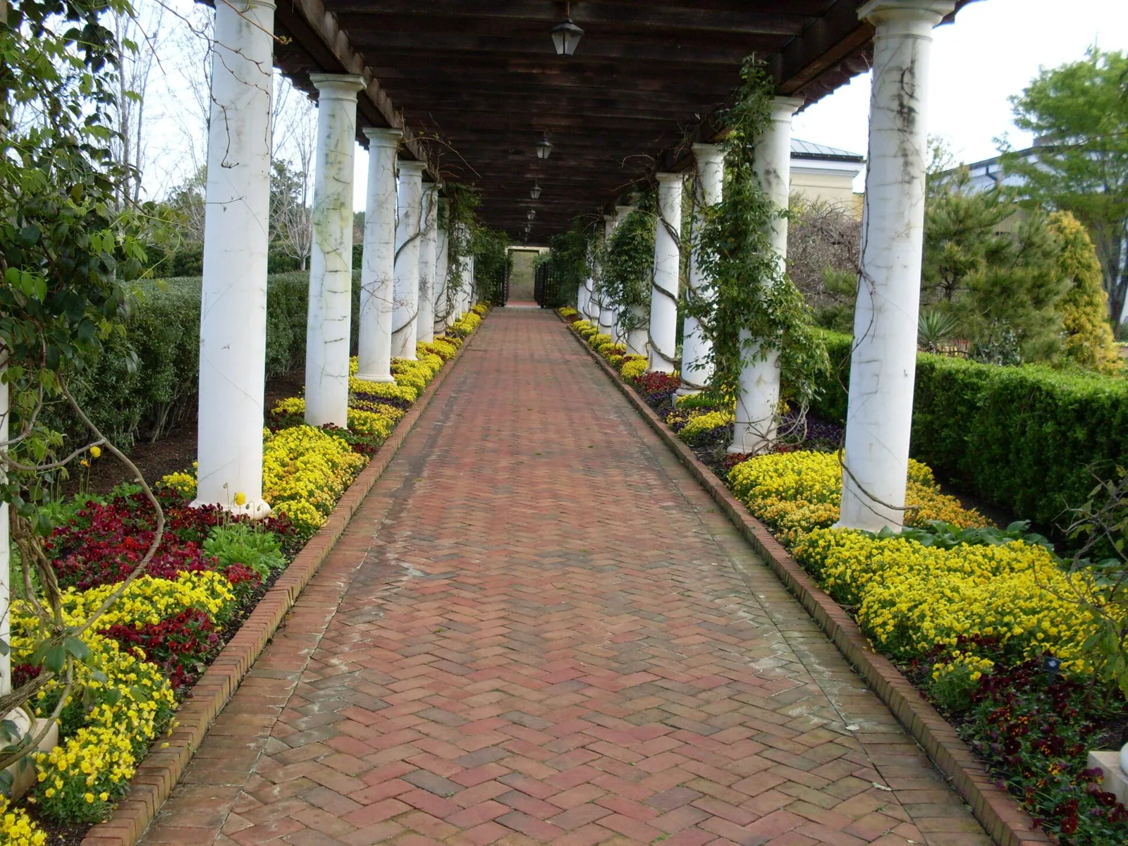 A long brick walk under a white-columned pergola, lined with yellow and red flowers, at Daniel Stowe